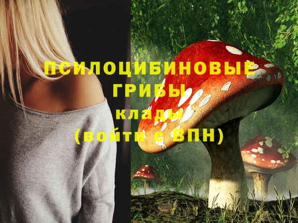 spice Козельск