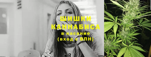spice Козельск