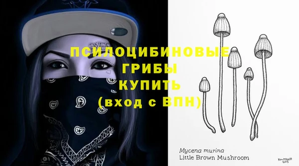 дурь Козловка