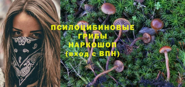 spice Козельск