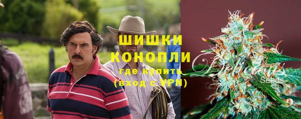 дурь Козловка