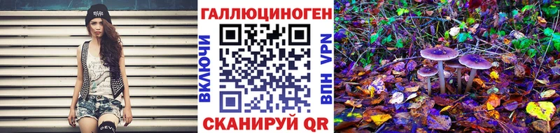 Псилоцибиновые грибы Psilocybe  Купить закладки  Гаврилов-Ям 